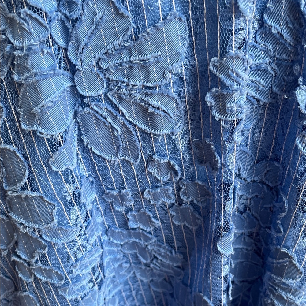 Moulinette Soeurs Blue Lace Dress - Picture 5 of 13